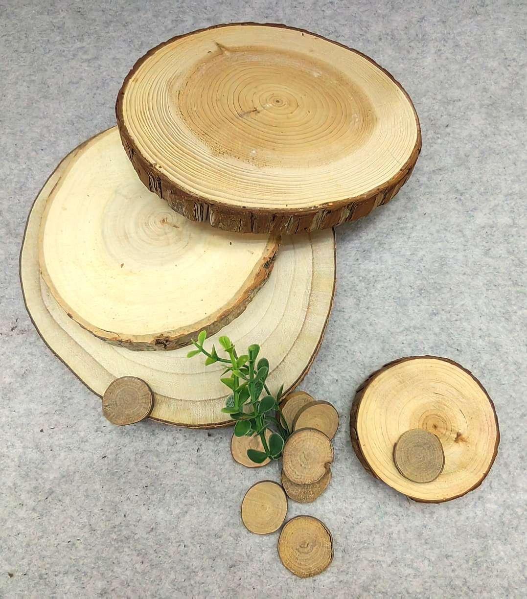 Jiehao direct sales of roundwood fir ring long decorative decoration natural solid wood foreign trade of raw wood chips Specification drawing